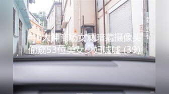 牛B大神商场女厕暗藏摄像头偷窥53位美女少妇嘘嘘 (39)