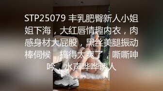 STP25079 丰乳肥臀新人小姐姐下海，大红唇情趣内衣，肉感身材大屁股，黑丝美腿振动棒伺候，搞得太爽了，嘶嘶呻吟，水声哗哗诱人