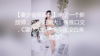 【秦少会所探花】来了一个新技师，小少妇胸大，裸推口交，C罩杯大奶子，今夜没白来这一趟 (2)