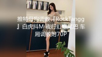 推特母狗调教『RockTangg』白虎抖M 夜行肛塞尾巴 车厢调教附70P