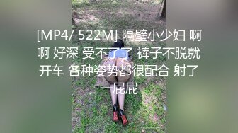 [MP4/ 522M] 隔壁小少妇 啊啊 好深 受不了了 裤子不脱就开车 各种姿势都很配合 射了一屁屁