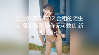 涩会传媒 SH012 合租的陌生人 捆绑强暴 操你无可救药 新人 吴心语