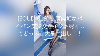 [SOUD-019] 純真無垢なパイパン美少女をイジメ尽くしてどっぷり大量中出し！！