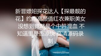 新晋嫖妞探花达人【探最靓的花】约炮高颜值红衣兼职美女 没想到竟然是个中韩混血 不知逼里是否凉快 高清源码录制