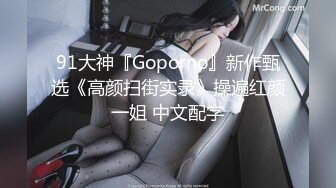 91大神『Goporno』新作甄选《高颜扫街实录》操遍红颜一姐 中文配字