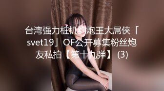 台湾强力桩机约炮王大屌侠「svet19」OF公开募集粉丝炮友私拍【第十九弹】 (3)