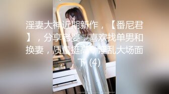 淫妻大神近期新作，【番尼君】，分享老婆，喜欢找单男和换妻，质量挺高，淫乱大场面，下 (4)