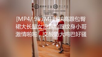 [MP4/ 987M] 丝袜高跟包臀裙大长腿女浪露脸跟纹身小哥激情啪啪，交酸奶大鸡巴好骚