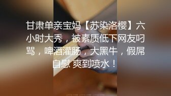 甘肃单亲宝妈【苏染洛樱】六小时大秀，被素质低下网友叼骂，啤酒灌肠，大黑牛，假屌自慰 爽到喷水！