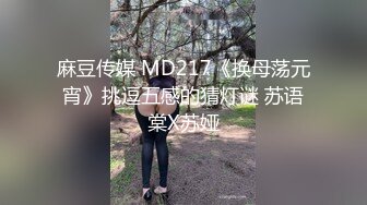 麻豆传媒 MD217《换母荡元宵》挑逗五感的猜灯谜 苏语棠X苏娅