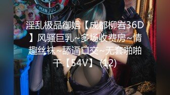 淫乱极品御姐【成都柳岩36D】风骚巨乳~多场收费房~情趣丝袜~舔逼口交~无套啪啪干【54V】 (12)