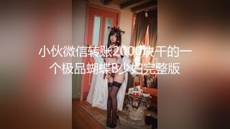 小伙微信转账2000块干的一个极品蝴蝶B少妇完整版