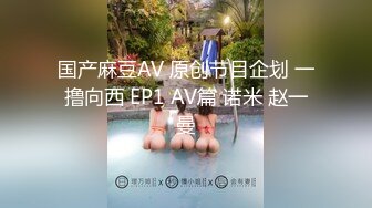 国产麻豆AV 原创节目企划 一撸向西 EP1 AV篇 诺米 赵一曼