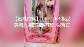 【蜜桃传媒】pme-268 极品美胸大嫂的强烈性慾-吴芳宜