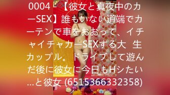 0004 - 【彼女と真夜中のカーSEX】誰もいない道端でカーテンで車をおおって、イチャイチャカーSEXする大◯生カップル。ドライブして遊んだ後に彼女に今日もHシたい…と彼女 (6515366332358)