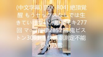 (中文字幕) [IPX-804] 絶頂覚醒 もうセックスなしでは生きていけない… 絶頂イキ277回 マ○コ痙攣2852回 鬼ピストン3091回 快感潮測定不能 ひめ乃雪