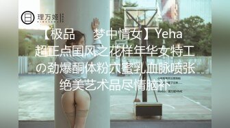 【极品❤️梦中情女】Yeha✿超正点国风之花样年华女特工の劲爆酮体粉穴蜜乳血脉喷张绝美艺术品尽情脑补