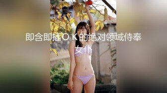 即含即插ＯＫ的绝对领域侍奉女仆