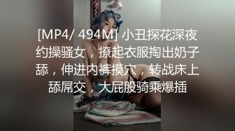 [MP4/ 494M] 小丑探花深夜约操骚女，撩起衣服掏出奶子舔，伸进内裤摸穴，转战床上舔屌交，大屁股骑乘爆插