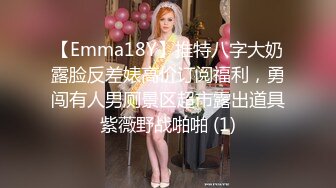 【Emma18Y】推特八字大奶露脸反差婊高价订阅福利，勇闯有人男厕景区超市露出道具紫薇野战啪啪 (1)